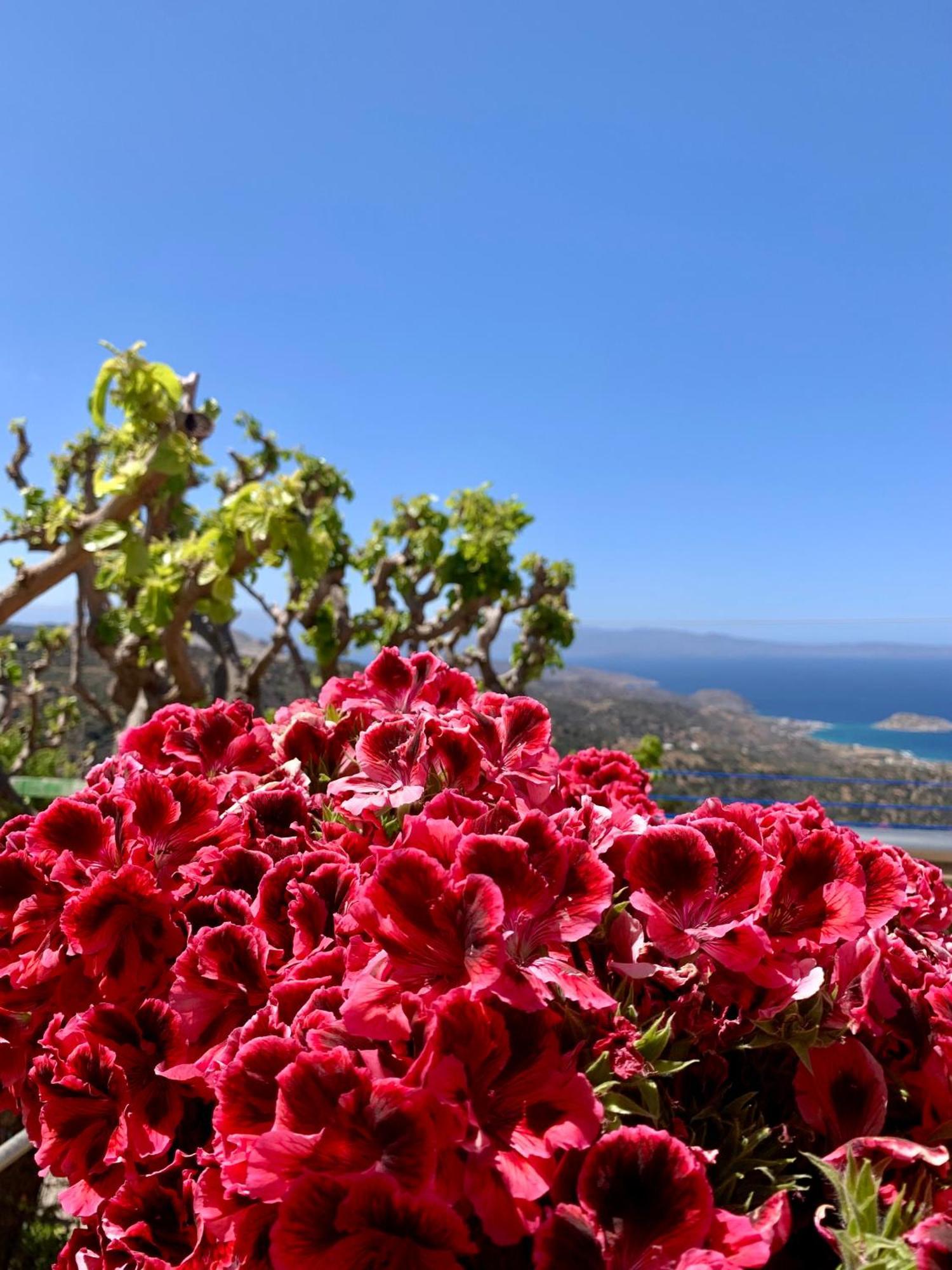 Morea Bay View Tourloti Екстер'єр фото